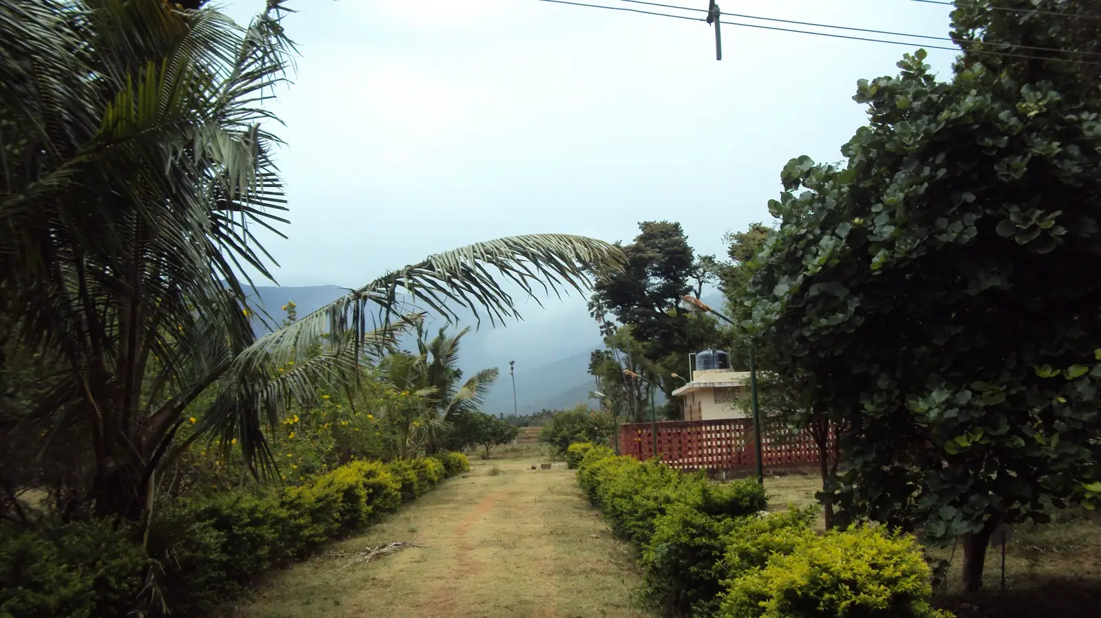 Tirunelveli skyline