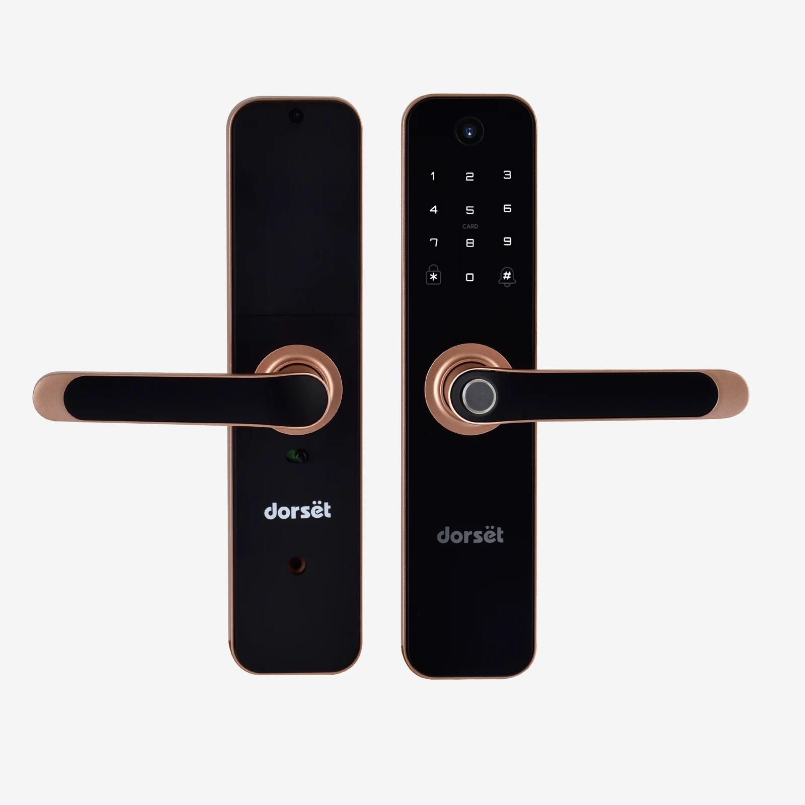 DG 204