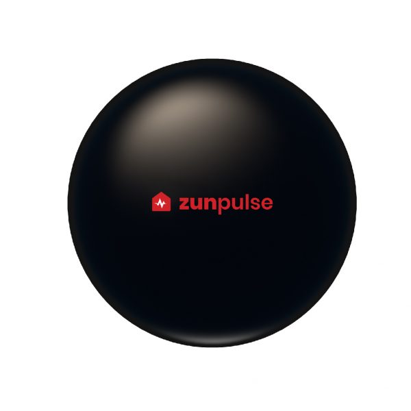 ZunPulse AC Remote